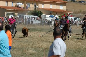 ENCIERROS SAN ROQUE 2014