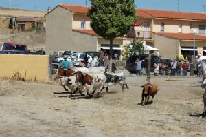 ENCIERROS SAN ROQUE 2014