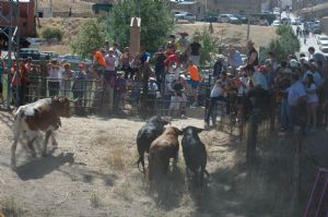 ENCIERROS SAN ROQUE 2014