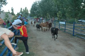 ENCIERROS SAN ROQUE 2014