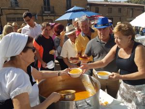  XV FIESTA DE LA VENDIMIA. VENIALBO 2017