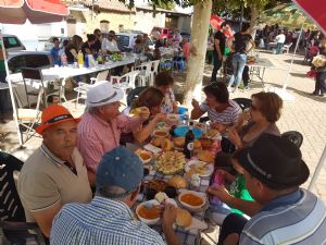  XV FIESTA DE LA VENDIMIA. VENIALBO 2017