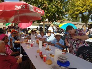  XV FIESTA DE LA VENDIMIA. VENIALBO 2017