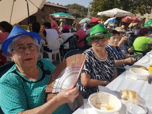  XV FIESTA DE LA VENDIMIA. VENIALBO 2017