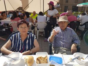  XV FIESTA DE LA VENDIMIA. VENIALBO 2017