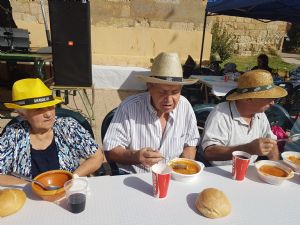  XV FIESTA DE LA VENDIMIA. VENIALBO 2017