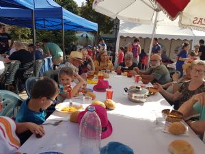  XV FIESTA DE LA VENDIMIA. VENIALBO 2017