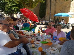  XV FIESTA DE LA VENDIMIA. VENIALBO 2017