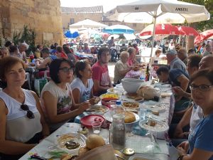  XV FIESTA DE LA VENDIMIA. VENIALBO 2017