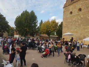  XV FIESTA DE LA VENDIMIA. VENIALBO 2017