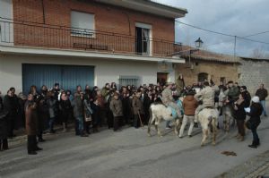 FIESTA DE LOS GALLOS. 2015