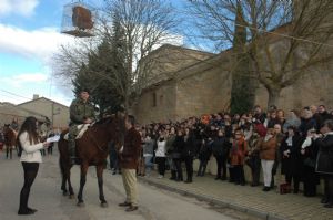 FESTIVIDAD DE LAS CANDELAS. 2014 