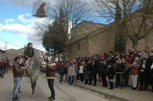 FESTIVIDAD DE LAS CANDELAS. 2014 