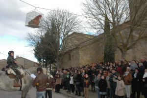 FESTIVIDAD DE LAS CANDELAS. 2014 