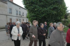 San Isidro en Venialbo 2013.