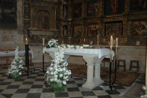 San Isidro en Venialbo 2013.