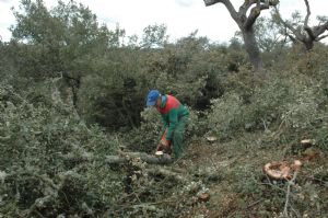 EL MONTE COTO DE VENIALBO