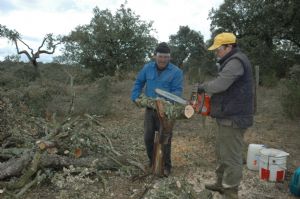 EL MONTE COTO DE VENIALBO