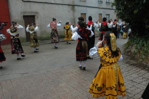 EL BAILE DEL NIÑO 2013 EN LA OPINIÓN DE ZAMORA