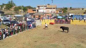 ENCIERROS SAN ROQUE 2015