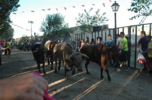 ENCIERROS SAN ROQUE 2015