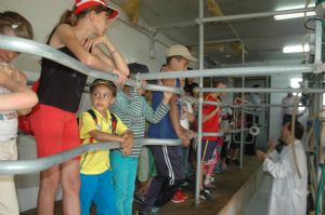 VISITA DE LA ESCUELA A UNA GRANJA DE VENIALBO 