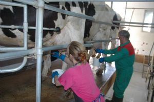 VISITA DE LA ESCUELA A UNA GRANJA DE VENIALBO 