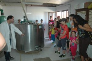 VISITA DE LA ESCUELA A UNA GRANJA DE VENIALBO 