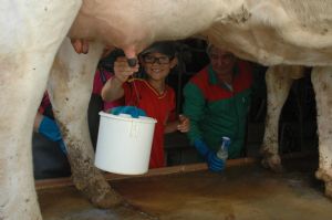 VISITA DE LA ESCUELA A UNA GRANJA DE VENIALBO 