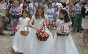 PROCESIÓN DEL CORPUS. VENIALBO 2014