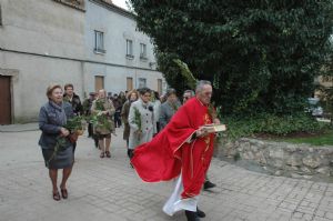 Procesión del Domingo de Ramos