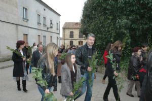 Procesión del Domingo de Ramos