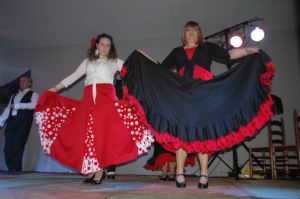 Venialbo y la Provincia se vuelca en el Festival Flamenco con Salva