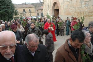 Procesión del Domingo de Ramos