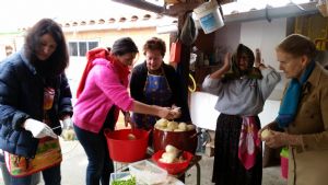 XIII FIESTA DE LA VENDIMIA. VENIALBO 2015