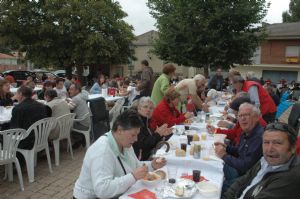 XIII FIESTA DE LA VENDIMIA. VENIALBO 2015