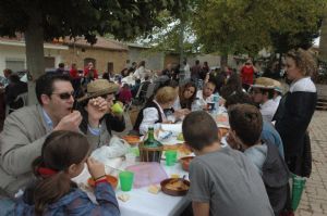 XIII FIESTA DE LA VENDIMIA. VENIALBO 2015