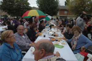 XIII FIESTA DE LA VENDIMIA. VENIALBO 2015