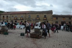 XIII FIESTA DE LA VENDIMIA. VENIALBO 2015