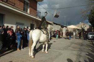 FIESTA DE QUINTOS 2016