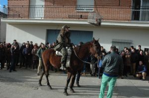 FIESTA DE QUINTOS 2016