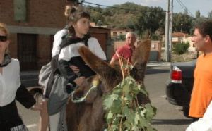 Fiesta de la Vendimia en Venialbo