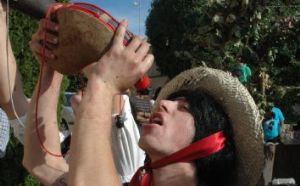 Fiesta de la Vendimia en Venialbo