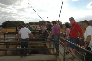 Presentación de los Toros San Roque 2013