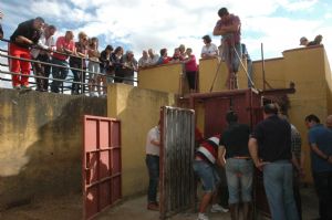 Presentación de los Toros San Roque 2013