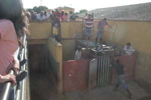 Presentación de los Toros San Roque 2013