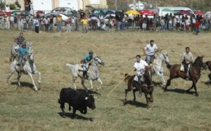 Los toros, patrimonio cultural